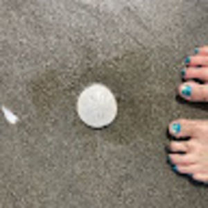 Meet your Posher, Annie